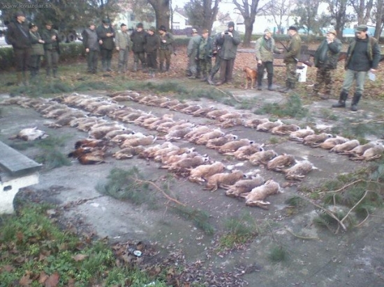 výrad po spoločnej polovačky