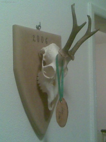 ten môj prvý z iného pohladu