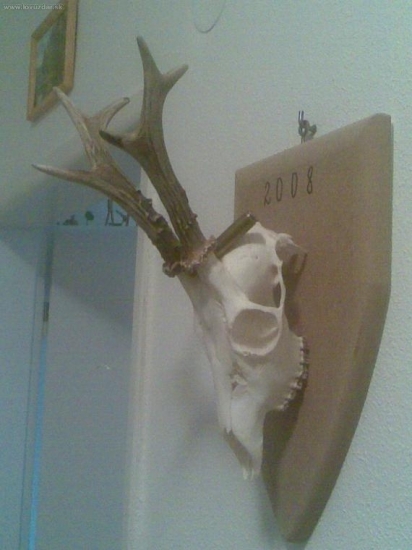 darček od otca k narodeninám