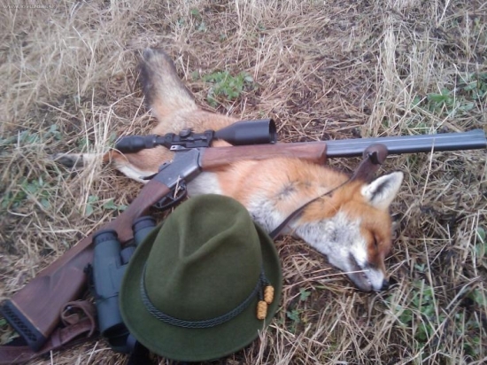 Líška. Tuším ôsma minulú sezónu