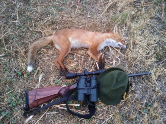 Deviata tejto sezony