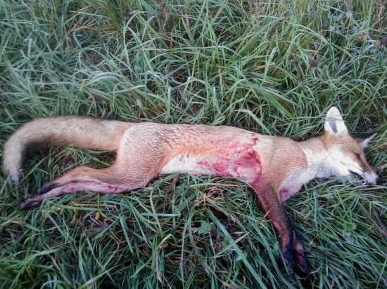 Dvanásta v tejto sezóne