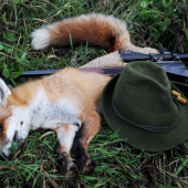 Zátišie s líškou..:-)