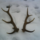 spomienka na rok 2008