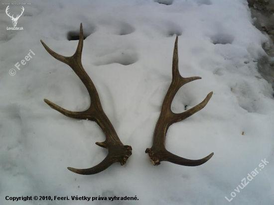 spomienka na rok 2008