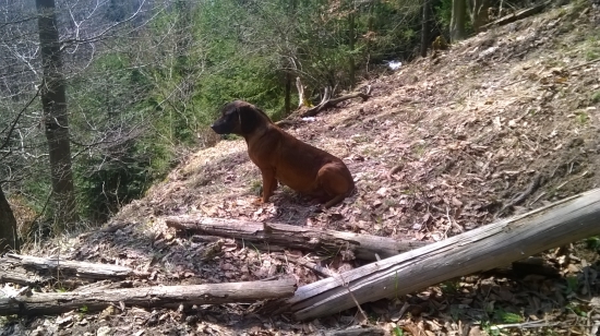 už nám rastie bruško :-)