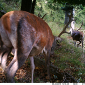 škoda že iba zadok :-)