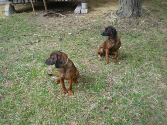 era(9 mesiacov) a dona(1 rok) s pod oravskeho hradu