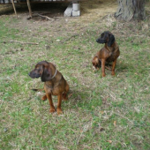 era(9 mesiacov) a dona(1 rok) s pod oravskeho hradu