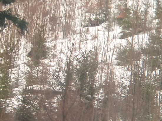 Unás ešte nezhadzujú....