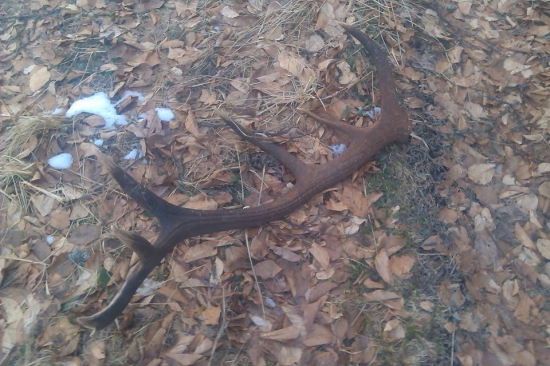 Už sa blížime k zlatu