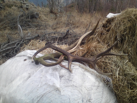 minuloročné s kolegom