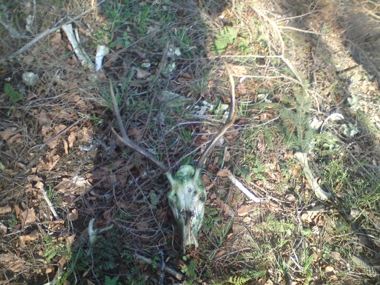 smola a zároven štastie