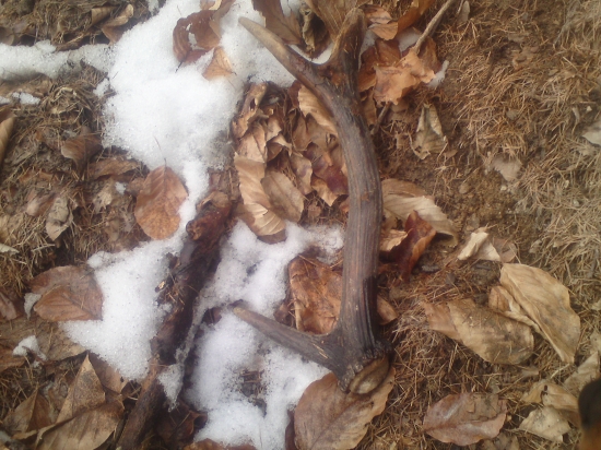 prvý ale minuloročný