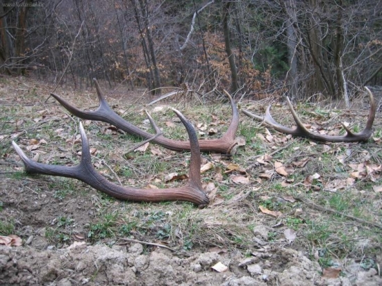 rok 2007 za 40 minut:-D