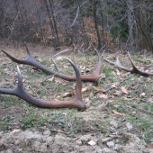 rok 2007 za 40 minut:-D