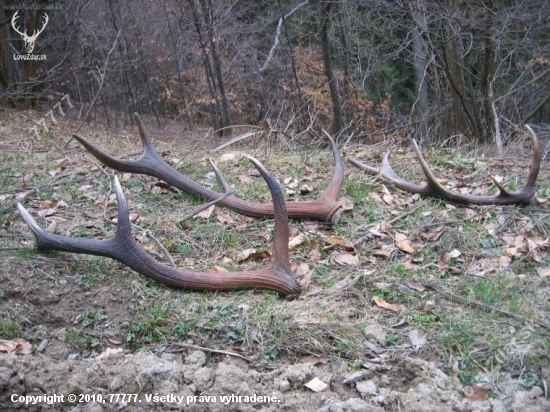 rok 2007 za 40 minut:-D