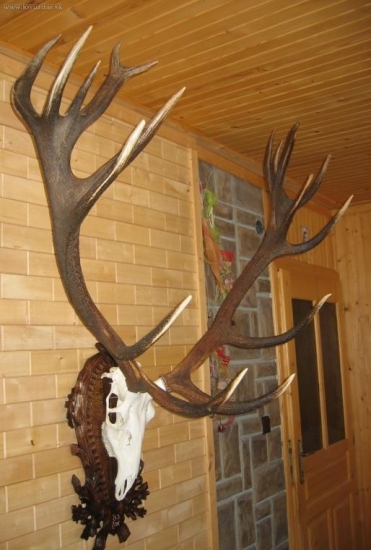 zhody 2006  uz na lebke nepravidelny 20torak 212 b cic