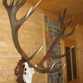 zhody 2006  uz na lebke nepravidelny 20torak 212 b cic