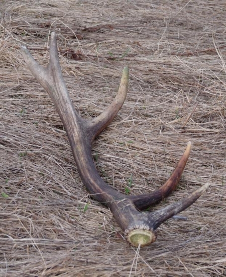 aj to treba pozbierat:-D