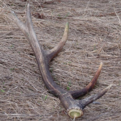 aj to treba pozbierat:-D