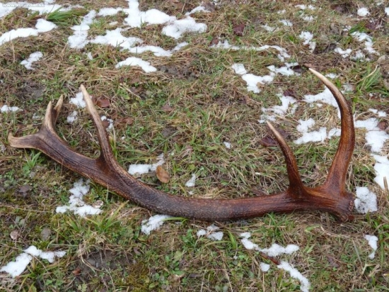 dnesny presne po mesiaci par k id 56421 bol 20m od neho:-DDD