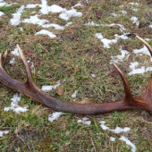 dnesny presne po mesiaci par k id 56421 bol 20m od neho:-DDD