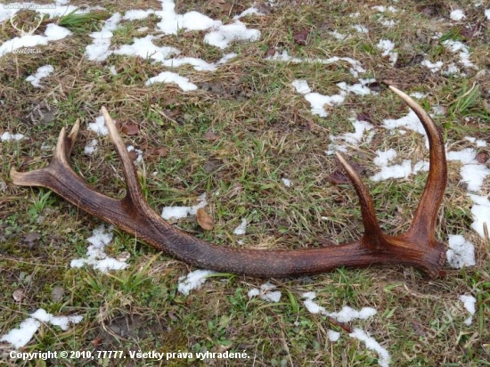 dnesny presne po mesiaci par k id 56421 bol 20m od neho:-DDD