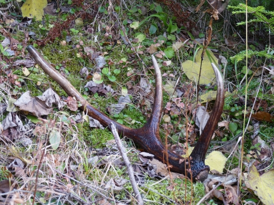 o par metrov v mladine zeby hned zhodil?  :-DDDD