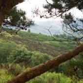 vyhlAd z nasej posiedky