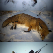 ..piatok trinásteho..