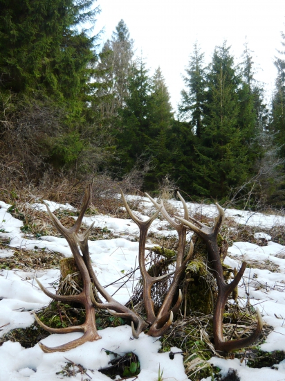 ..keď sa štastie unaví..