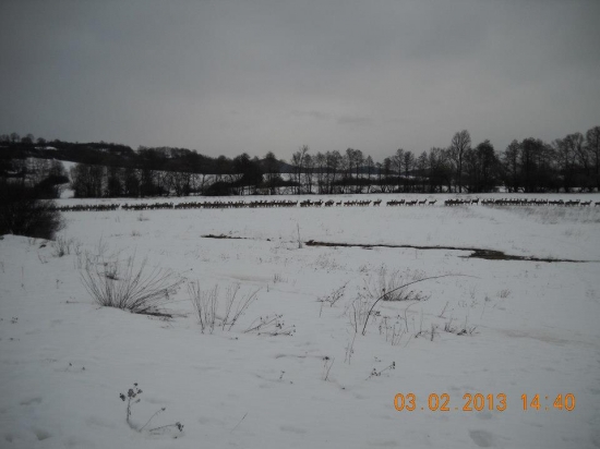 Nooo tak to to vizera