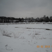 Nooo tak to to vizera