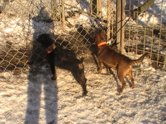 pusti nas dnuka :D :D