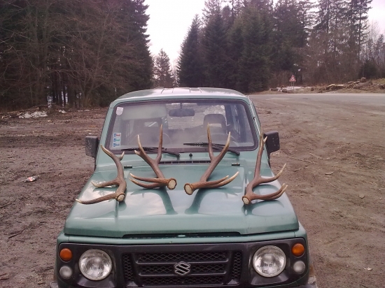 po roku sa opat zadarilo