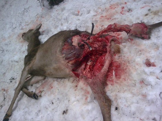 aj taka vie byt priroda