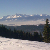nas revir