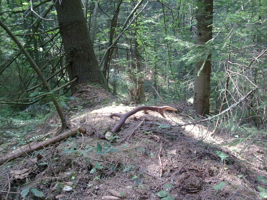 este sa da najst velke