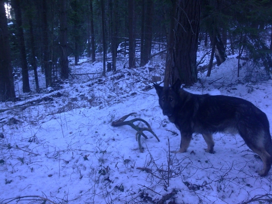 skoda ze stary min.2 roky ale pekny