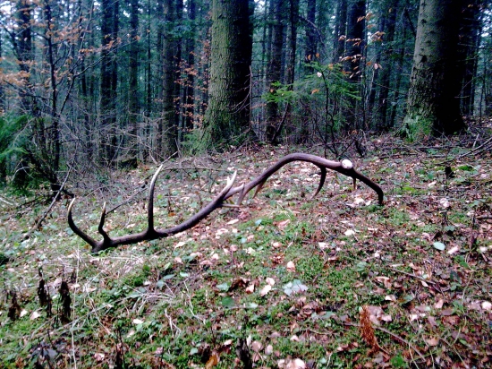 dlzka 1.20m,vaha6.40kg