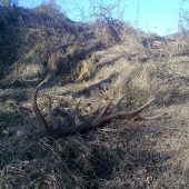 14torak