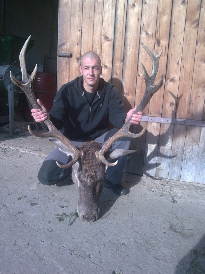 ruja 2014