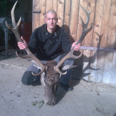 ruja 2014