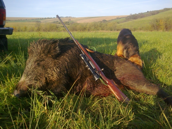 toho roku  nam ide!treti za 5dni