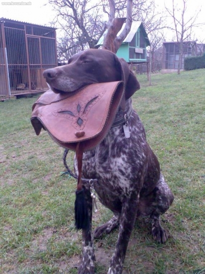 ...veď uz poďme...