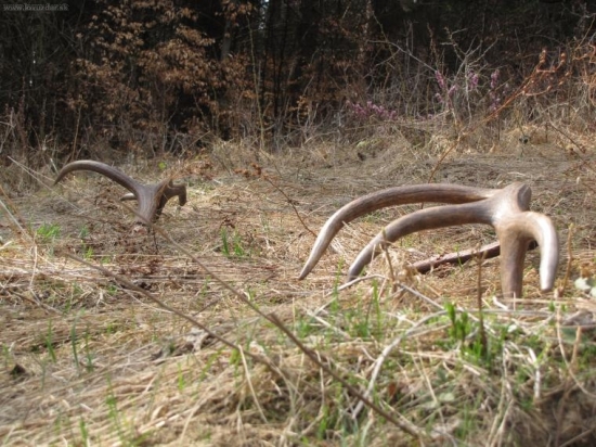 Velký piatok-malé zhody