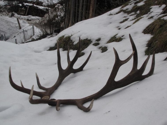 Miaskove tohoročné 3,3 a 3,5kg