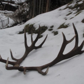 Miaskove tohoročné 3,3 a 3,5kg