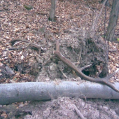 len tak si tam ležali :o)